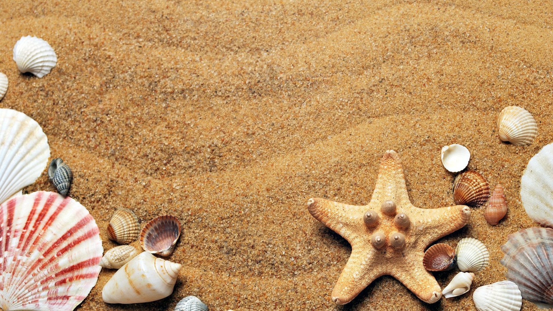 Camping bord de mer : un choix parfait pour vos vacances