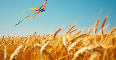 Les vents du monde : tour d&rsquo;horizon des courants atmosphériques