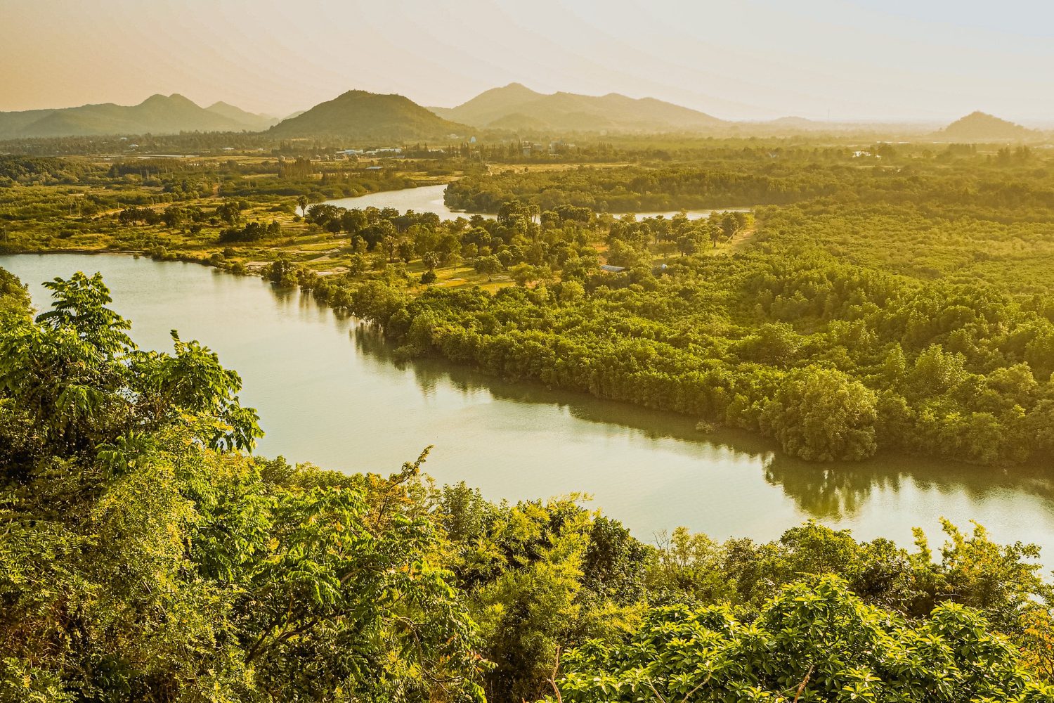 Paysage de l'Amazonie péruvienne représentée par un fleuve au milieu de végétations